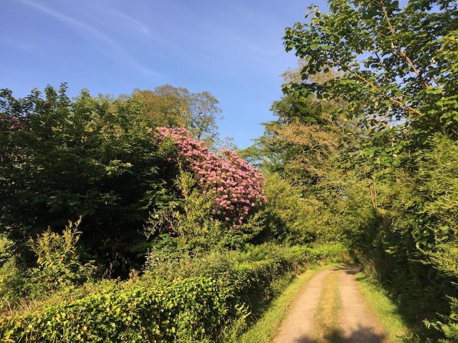 Tranquil Getaway Near Brecon Beacons * Llandovery